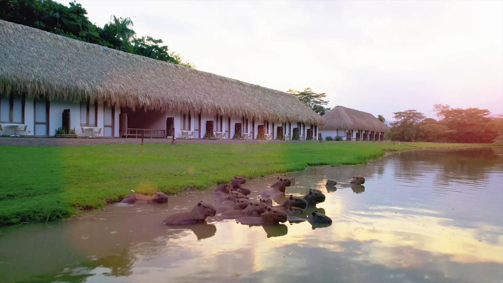 Hotel Reserva De Piedemonte La Palmera Buitenkant foto