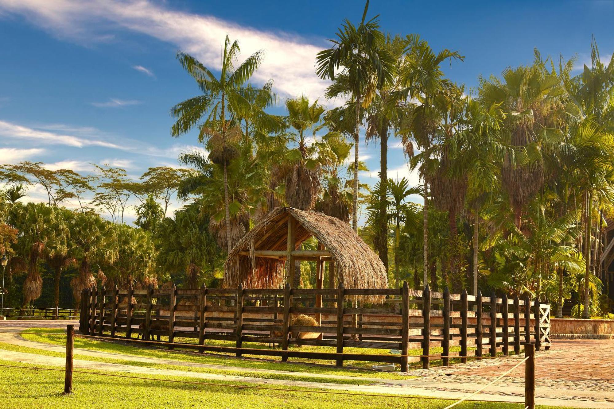 Hotel Reserva De Piedemonte La Palmera Buitenkant foto
